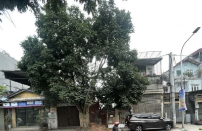 BÁN NHÀ MẶT PHỐ PHAN ĐĂNG LƯU – ĐẤT 2 MẶT ĐƯỜNG – KINH DOANH CỰC TỐT